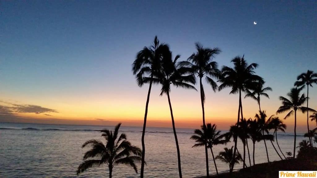 New Amazing Beachfront Condo Hau'ula Exterior photo