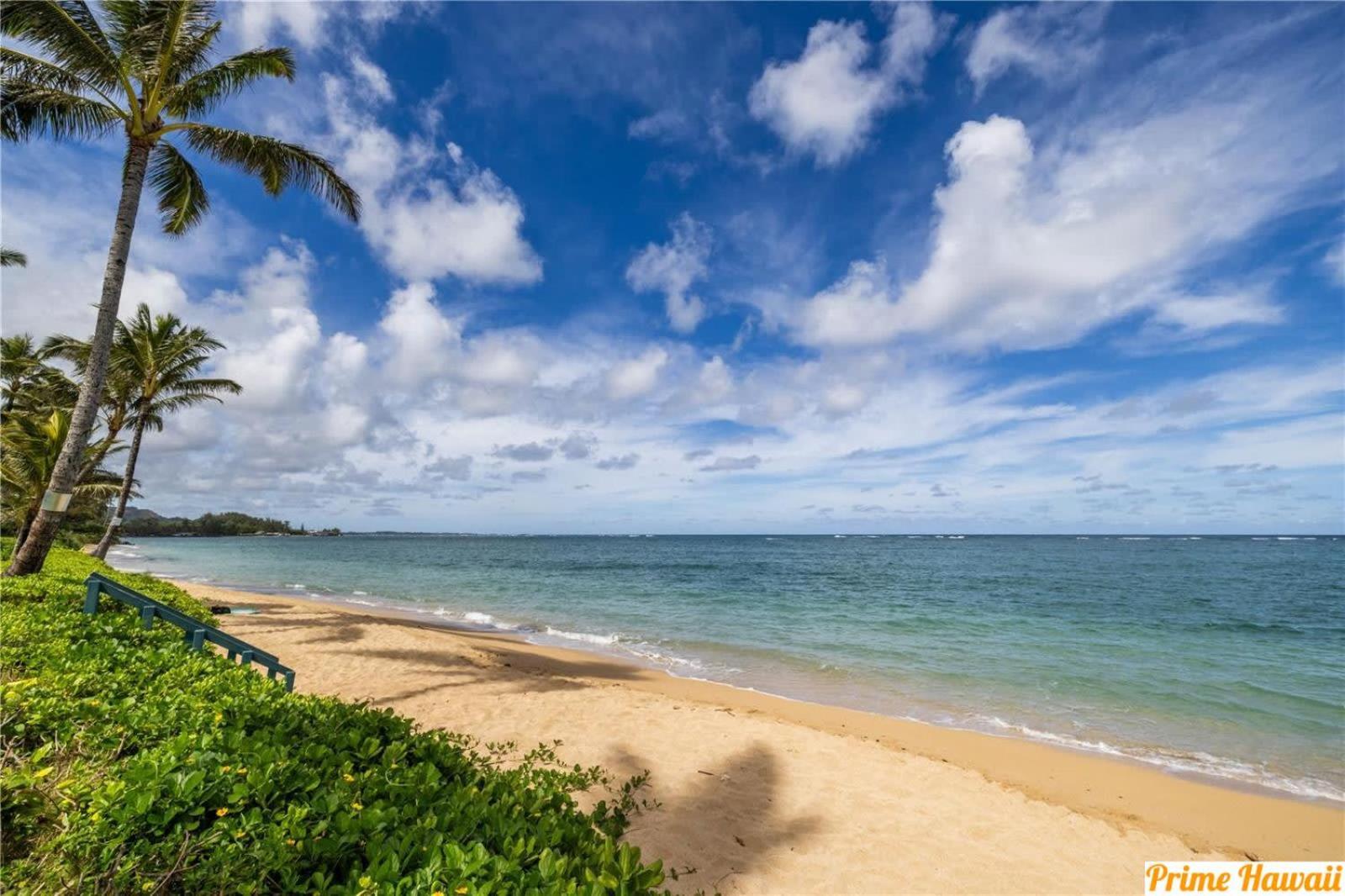 New Amazing Beachfront Condo Hau'ula Exterior photo